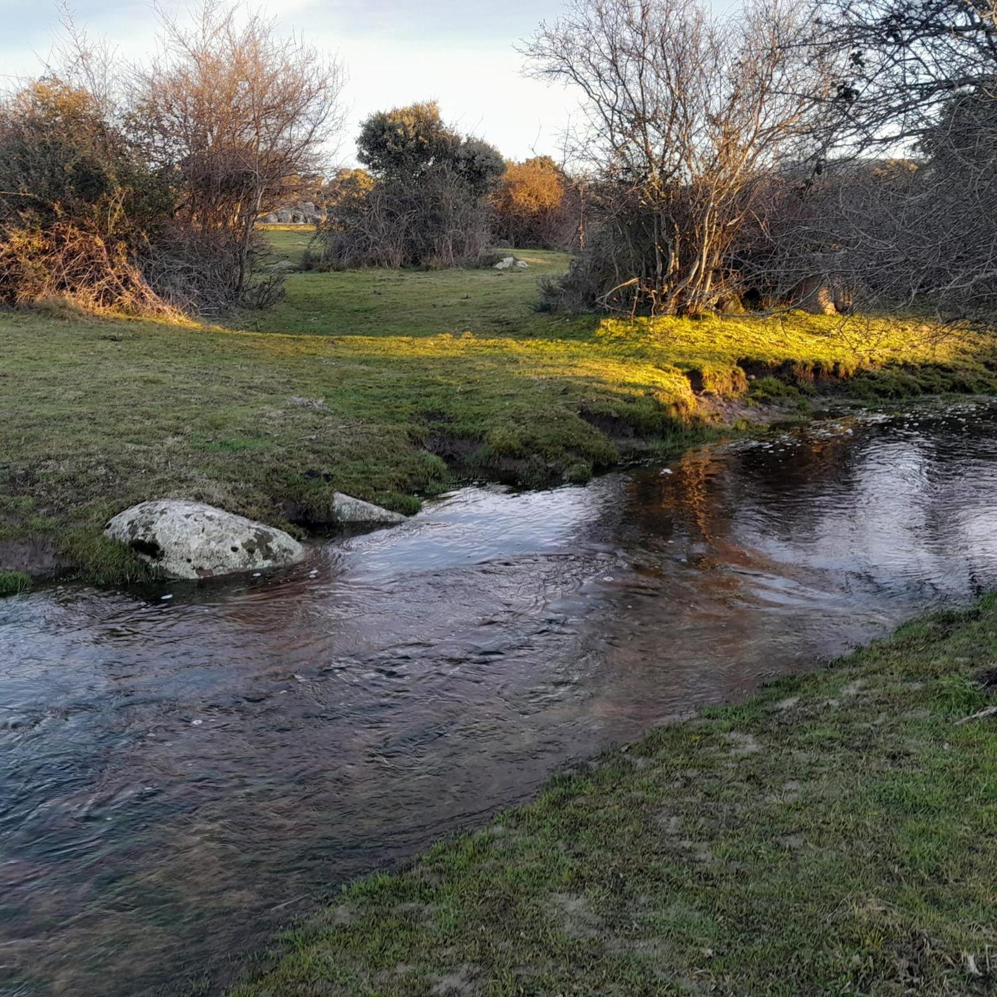 Piso Navas Lägenhet Navas de San Antonio Exteriör bild